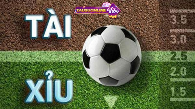 chơi kèo tài xỉu 2.5