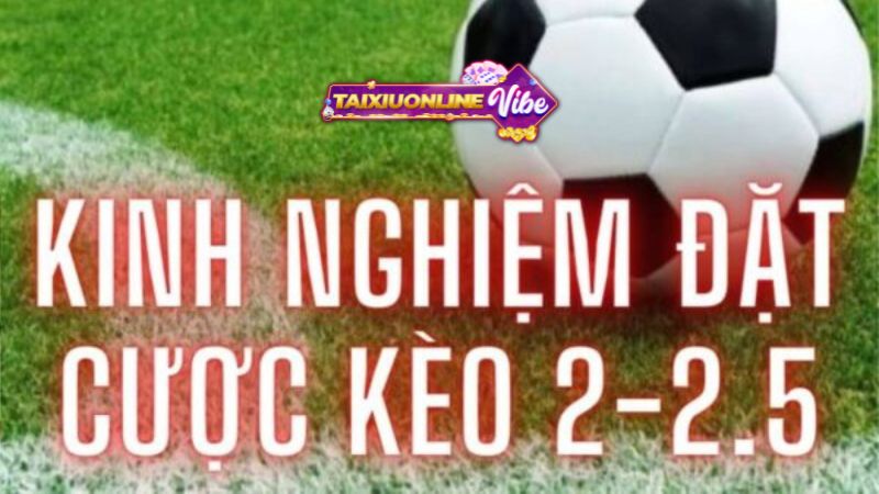 Kinh nghiệm chơi kèo tài xỉu 2 - 2.5 là gì 