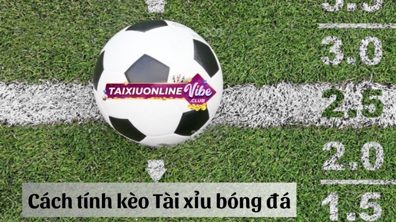 soi kèo Tài xỉu 